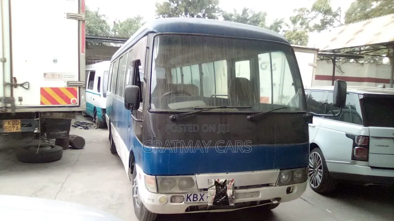 Mitsubishi Fuso Rosa 2013 Blue