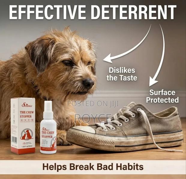 Pet Chew Stopper - thumbnail 2