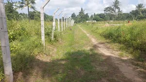 Quater of an Acre at Mtwapa Bomani Kilifi