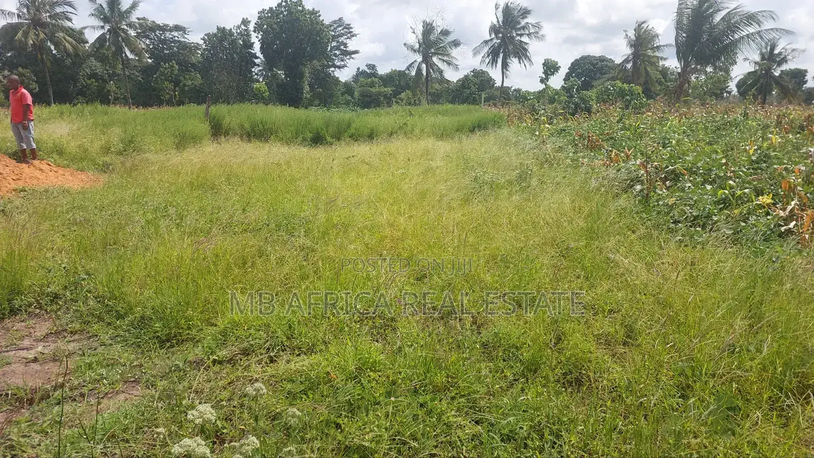 Quater of an Acre at Mtwapa Bomani Kilifi