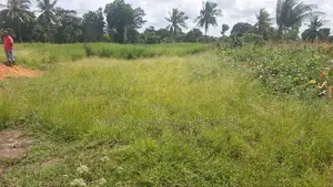 Quater of an Acre at Mtwapa Bomani Kilifi