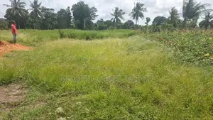 Quater of an Acre at Mtwapa Bomani Kilifi