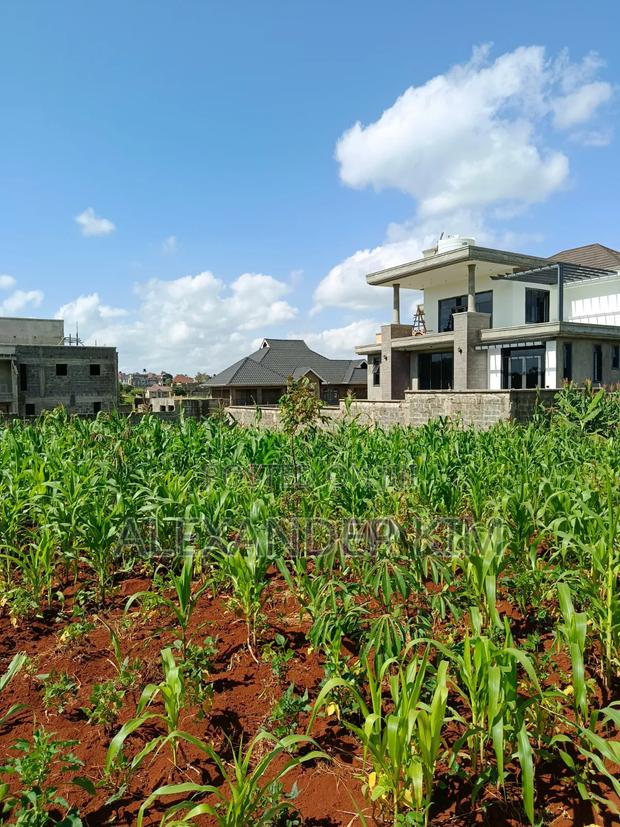 Ruiru-Mugutha Eden Estate 1/8 Acre Residential Plots - thumbnail 3