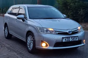 Toyota Corolla Fielder 2014 Silver