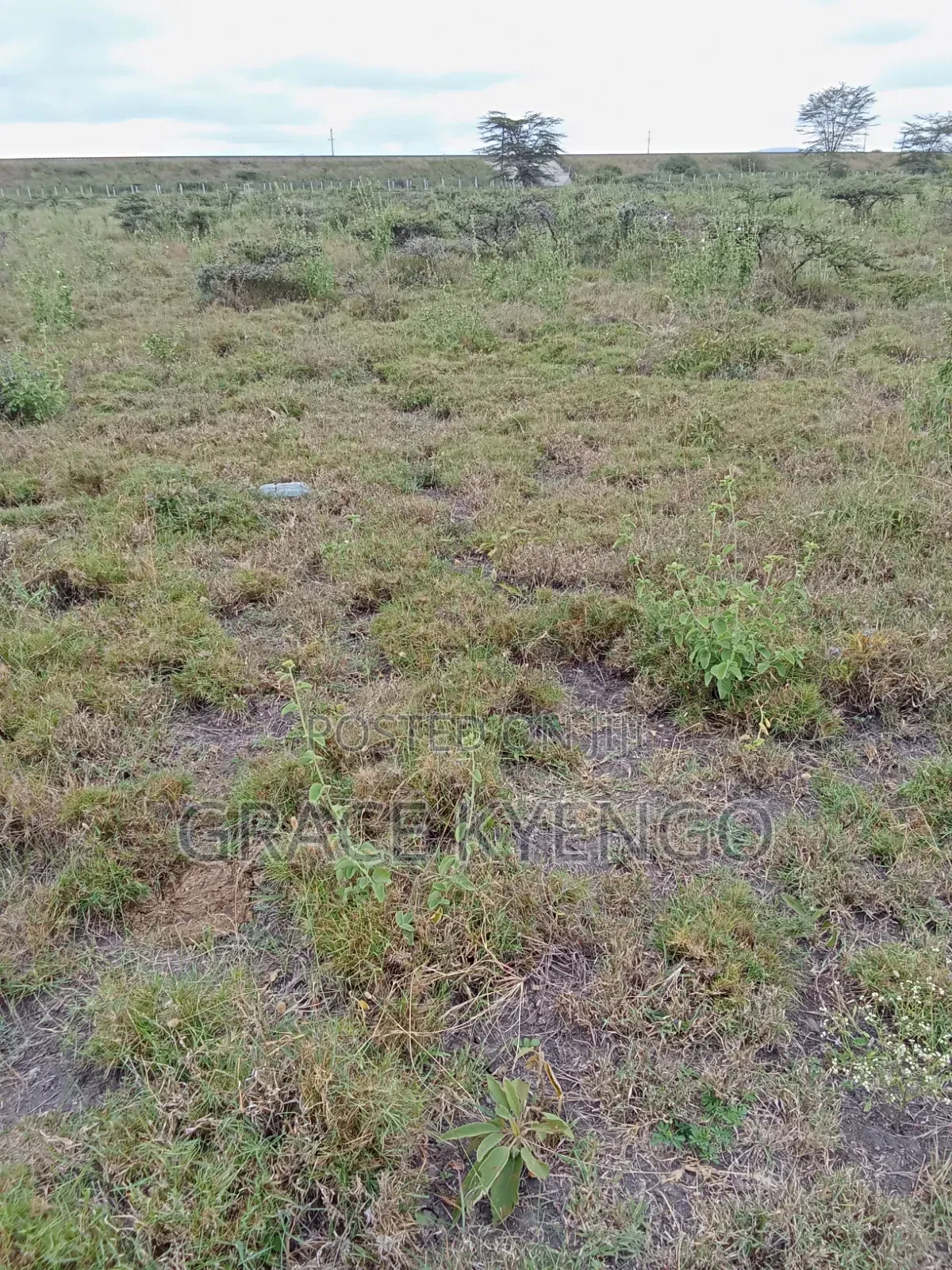 1 Acre Land for Sale in Kimalat