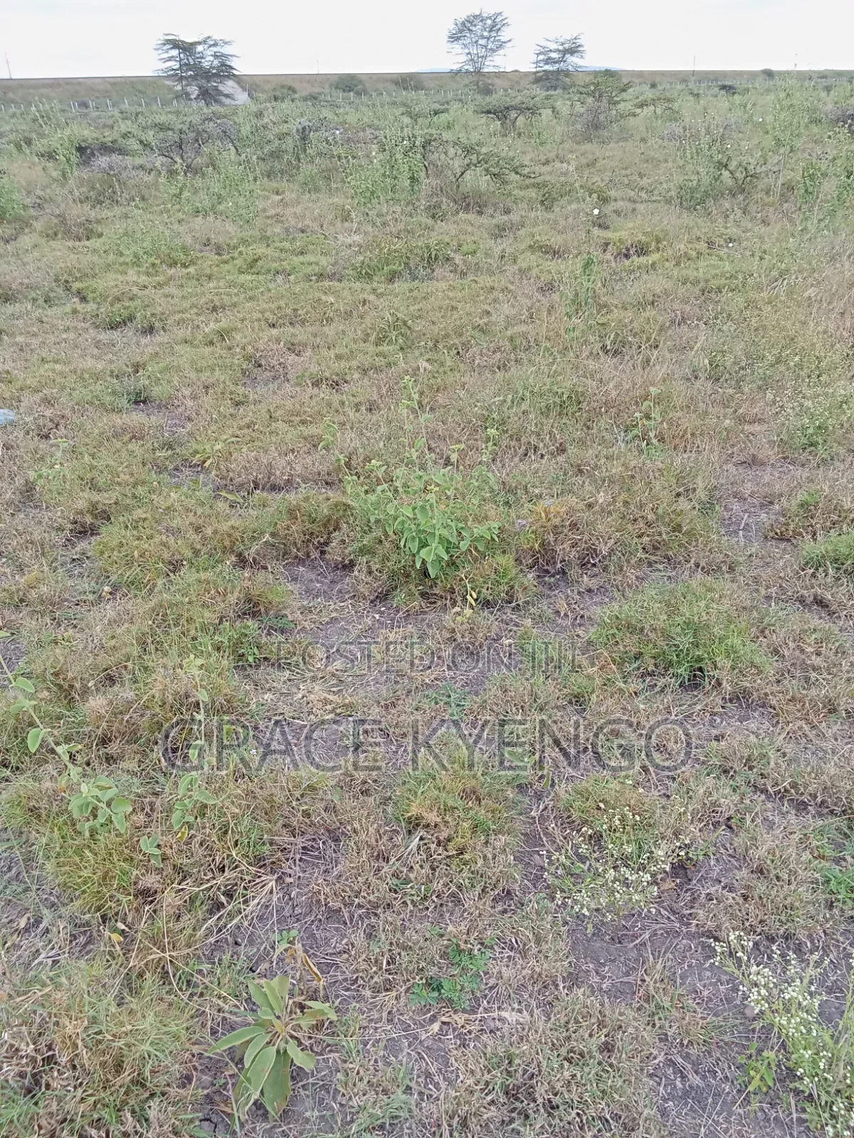 1 Acre Land for Sale in Kimalat