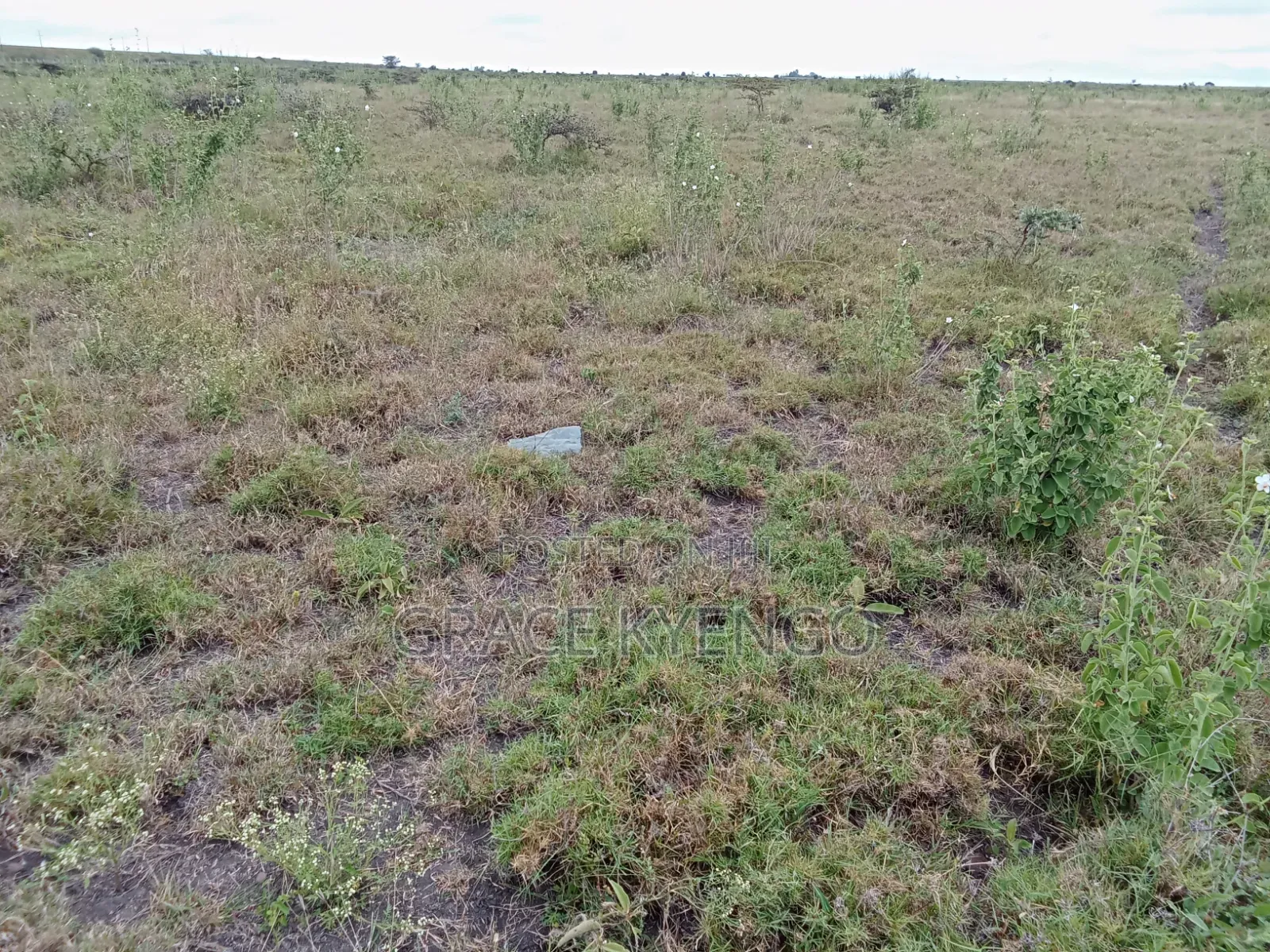 1 Acre Land for Sale in Kimalat