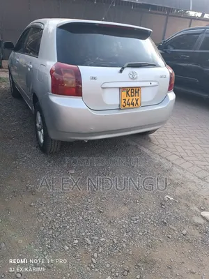 Toyota Allex 2004 Silver
