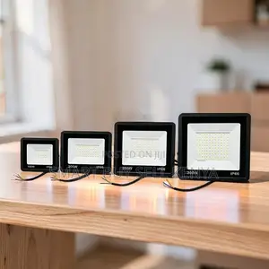 Shock-Resistant 200W,100W,50W,30W AC Electric LED Flood Light