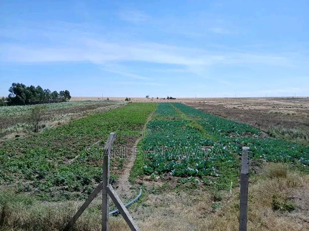 2 Acreas Narumoro via Nanyuki