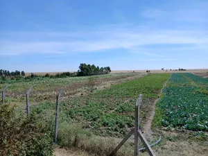 2 Acreas Narumoro via Nanyuki