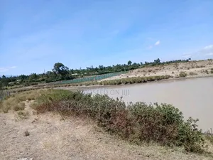 2 Acreas Narumoro via Nanyuki