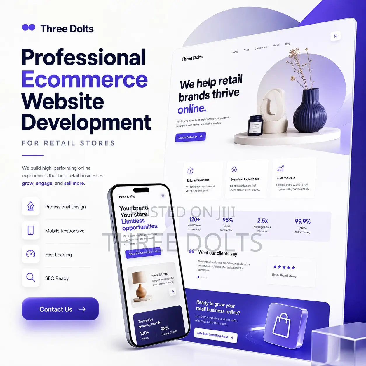 Professional Ecommerce Website Development for Retail Stores