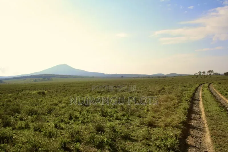 Plot for Sale