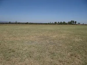 Plot for Sale