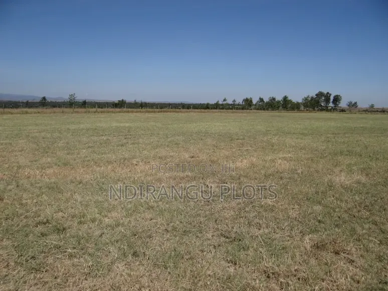 Plot for Sale