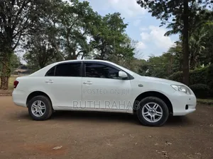 Toyota Axio 2010 White