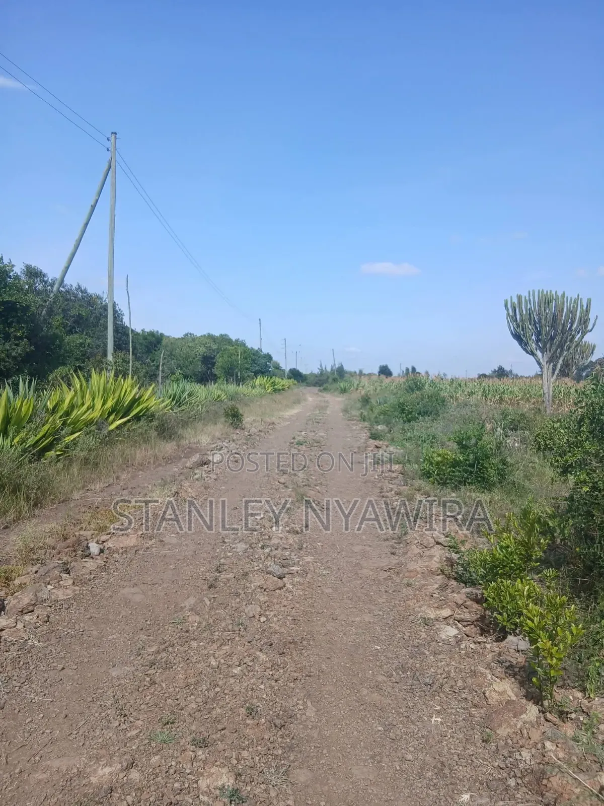 10 Acreas Nyeri Chaka