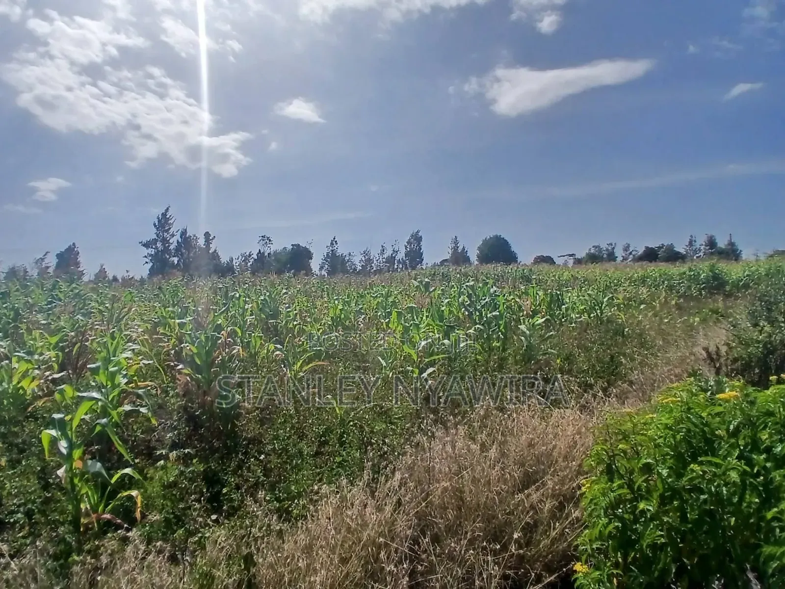 10 Acreas Nyeri Chaka