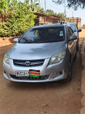 Toyota Corolla Fielder 2009 Silver
