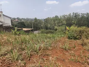 Golf View Estate