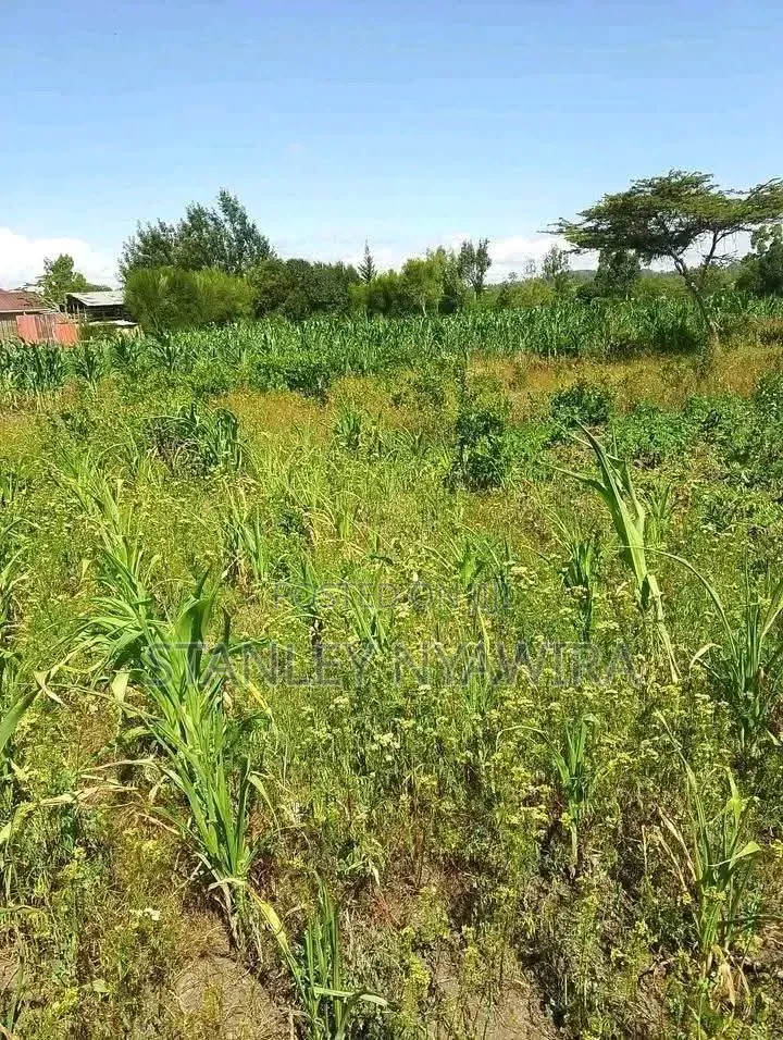 3.5 Acrea Nanyuki Mirere
