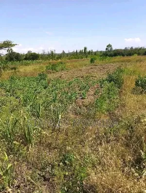 3.5 Acrea Nanyuki Mirere