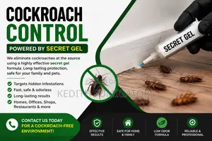 Cockroach Gel Fumigation