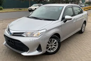 Toyota Axio 2020 Silver