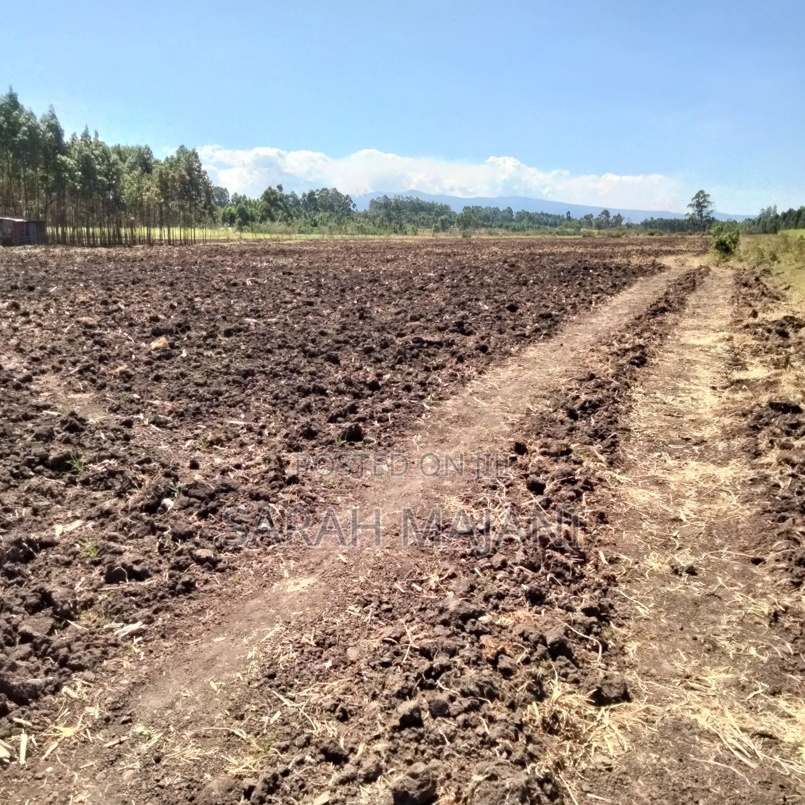 Land for Sale