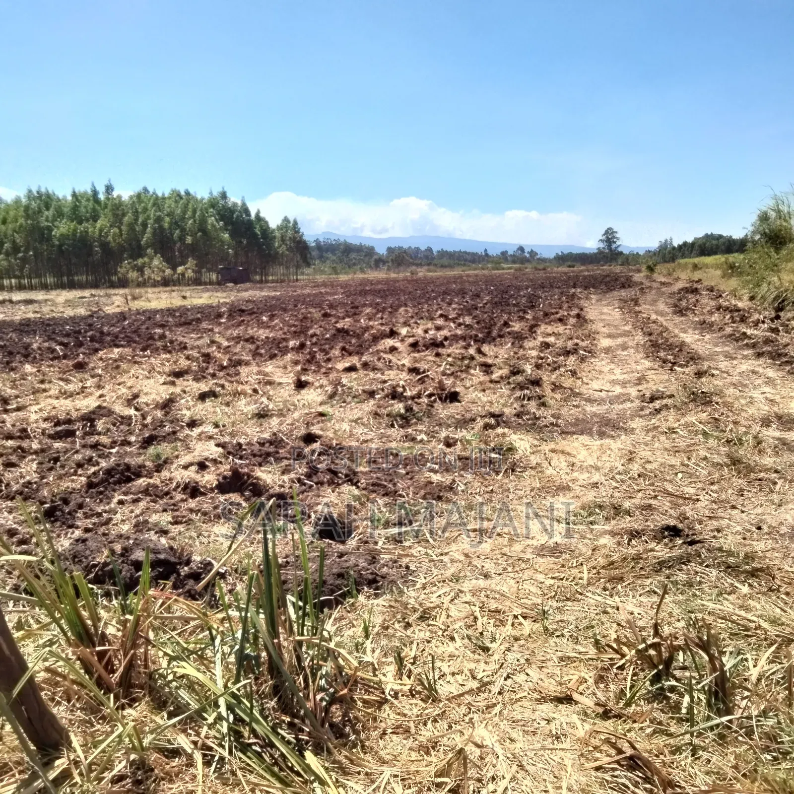 Land for Sale