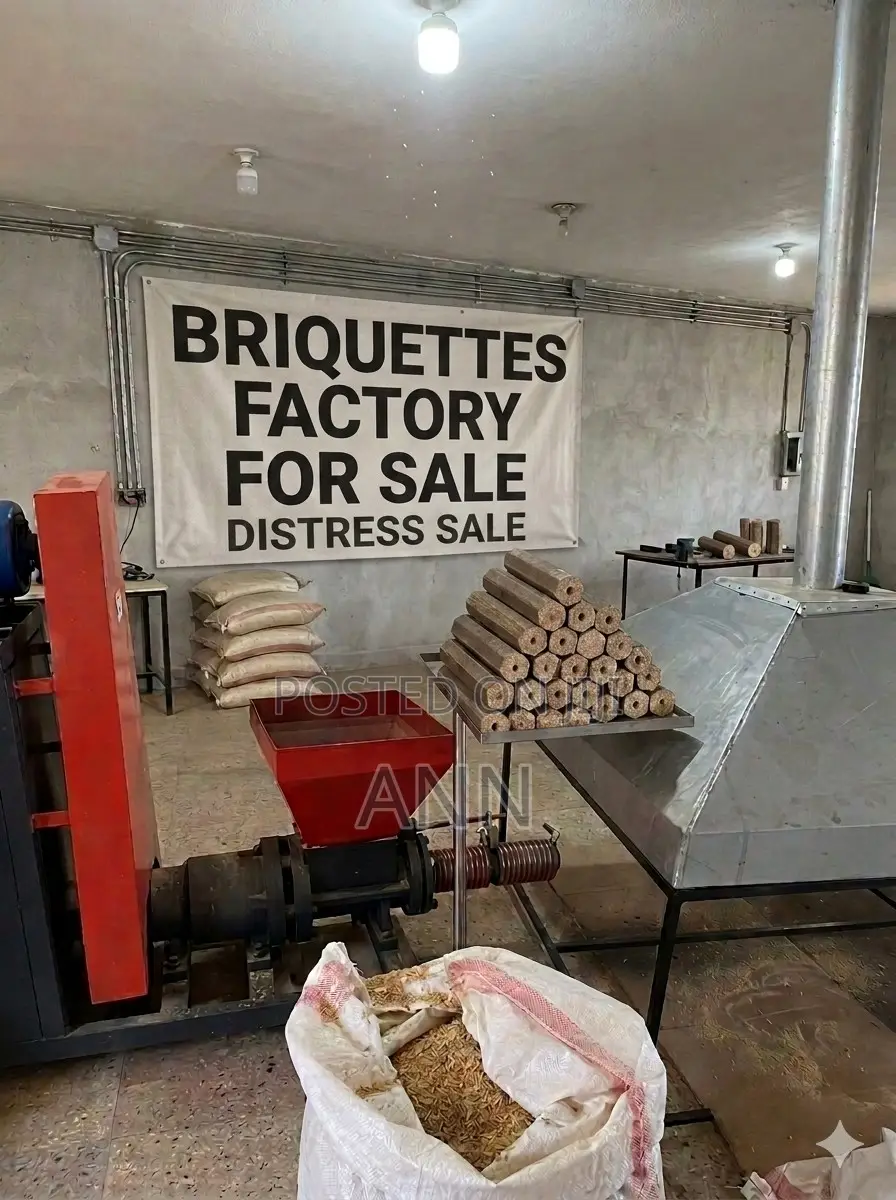 Industrial Briquette Factory With Sawdust Extruder Machine for Sale.
