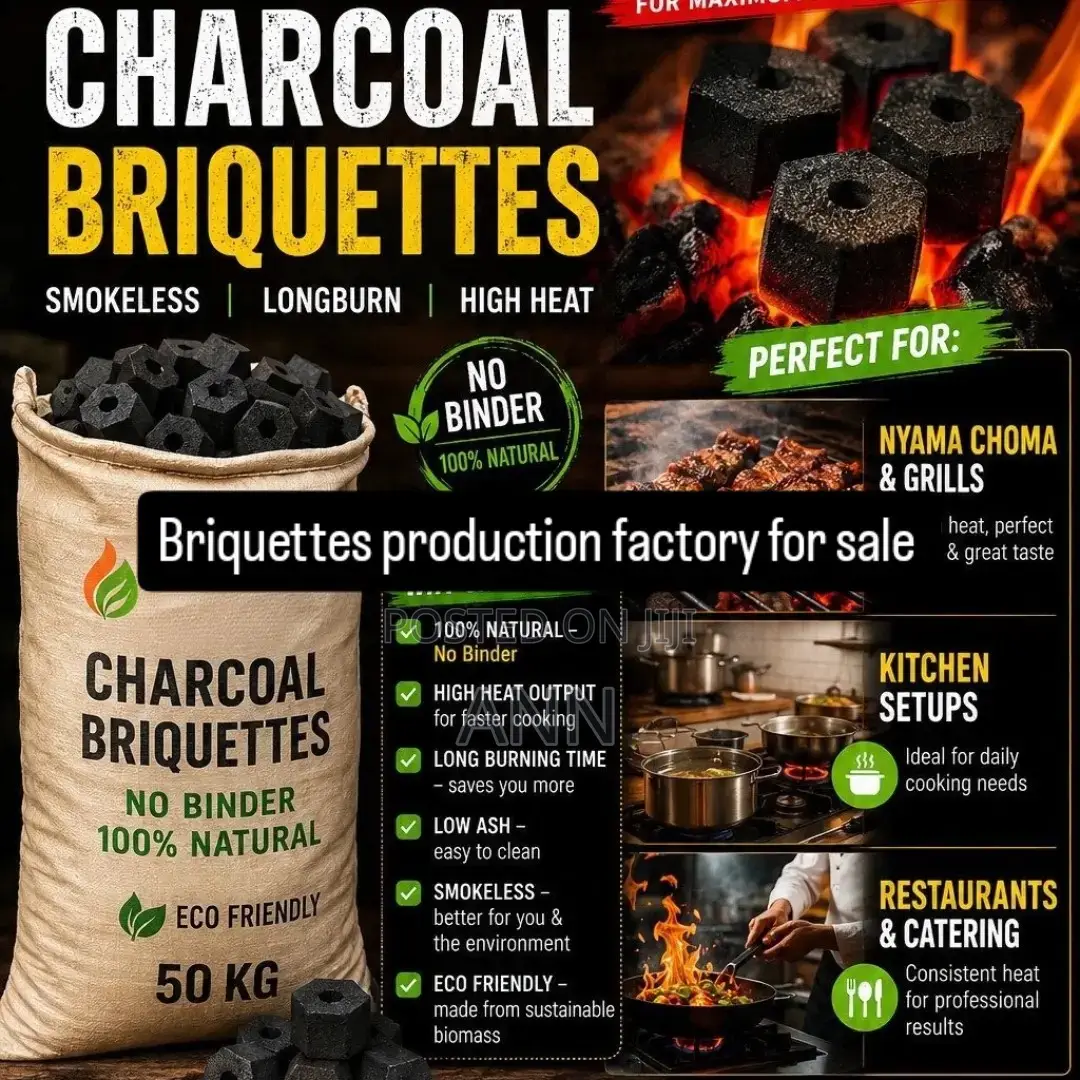 Industrial Briquette Factory With Sawdust Extruder Machine for Sale.