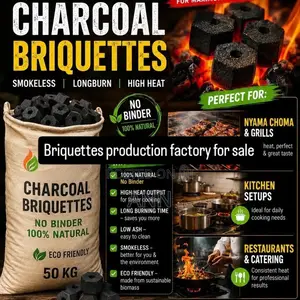 Industrial Briquette Factory With Sawdust Extruder Machine for Sale.