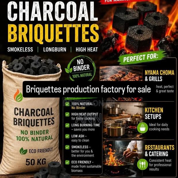 Industrial Briquette Sawdust Machine( Factory) - thumbnail 2
