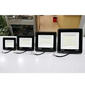Precision-Engineered 200W,100W,50W,30W AC Electric LED Flood Light
