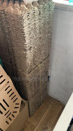 Paper Egg Trays