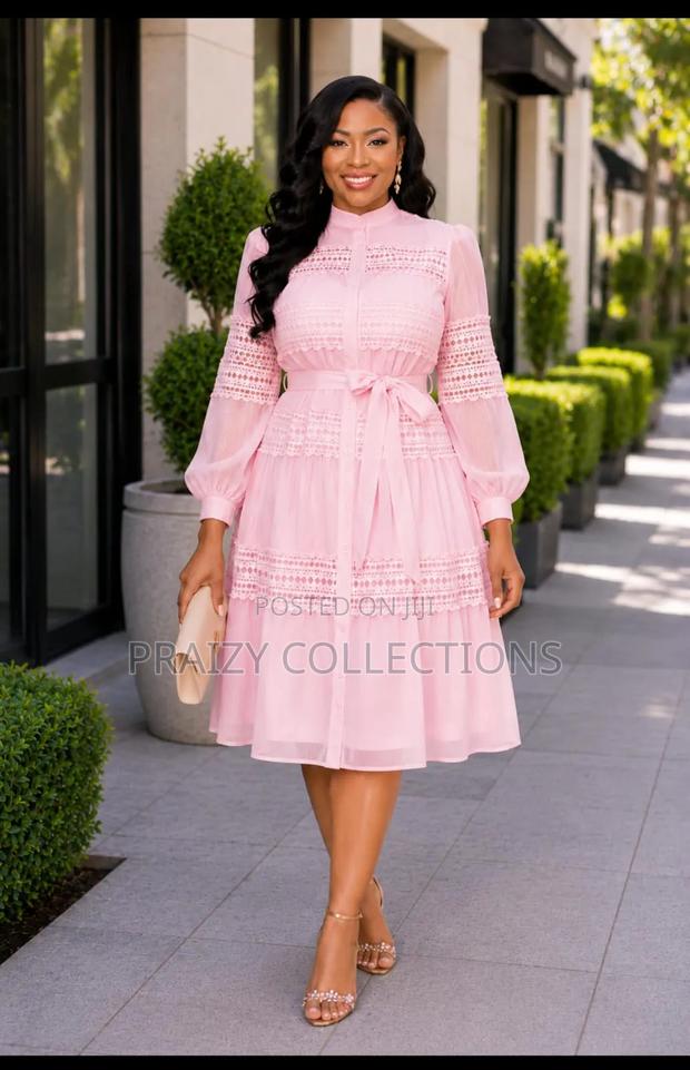 Elegant Fancy Skater Dress