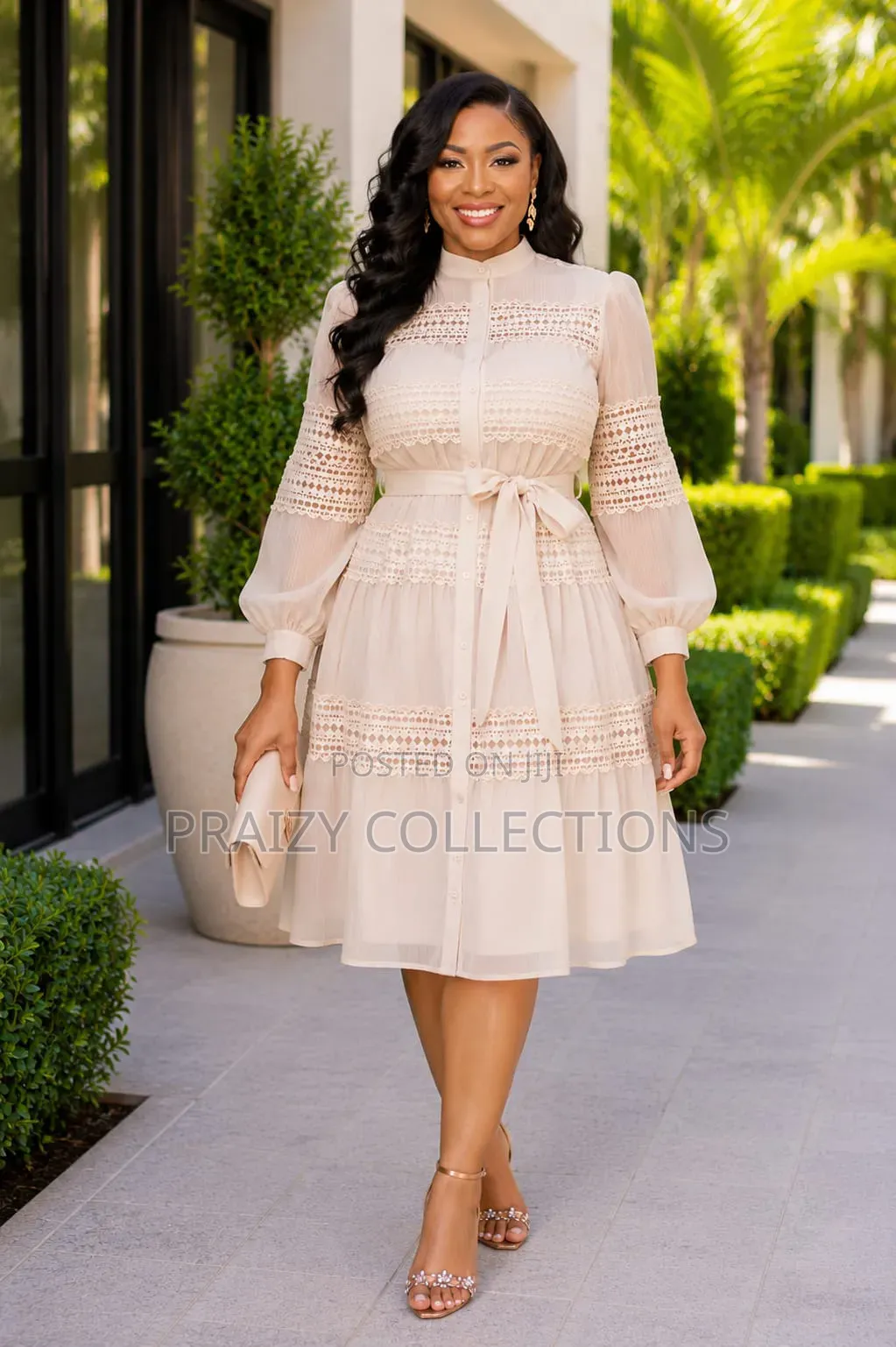 Elegant Fancy Skater Dress