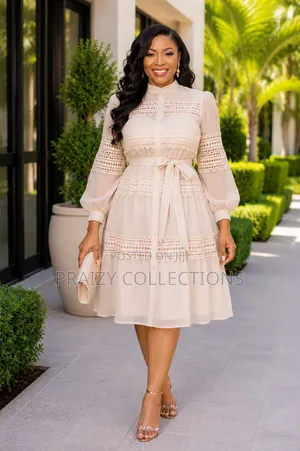 Elegant Fancy Skater Dress