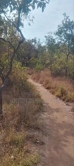 3 Very Prime Flat Acres