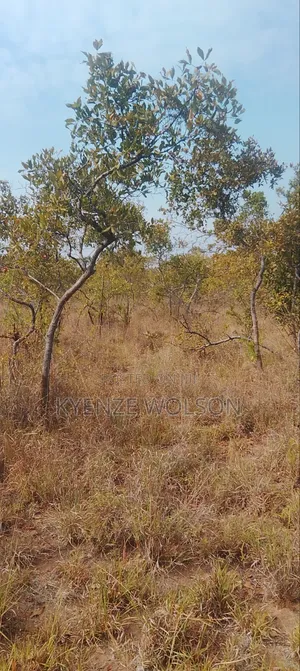 3 Very Prime Flat Acres
