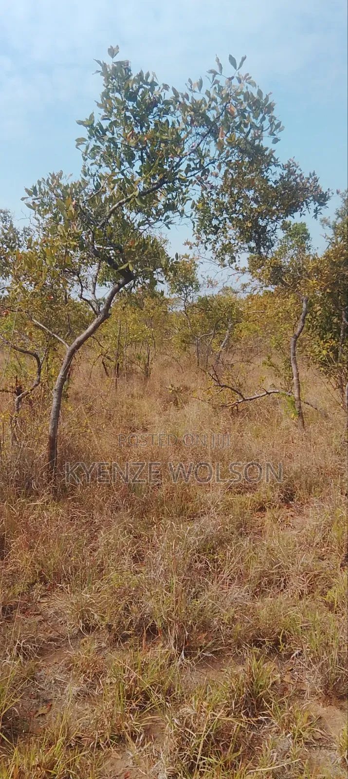 3 Very Prime Flat Acres