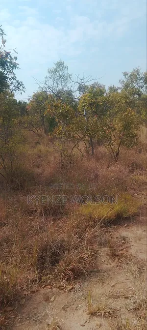 3 Very Prime Flat Acres
