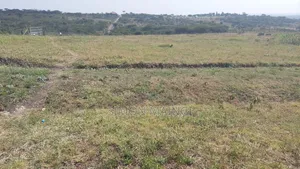Qaribuni Homes