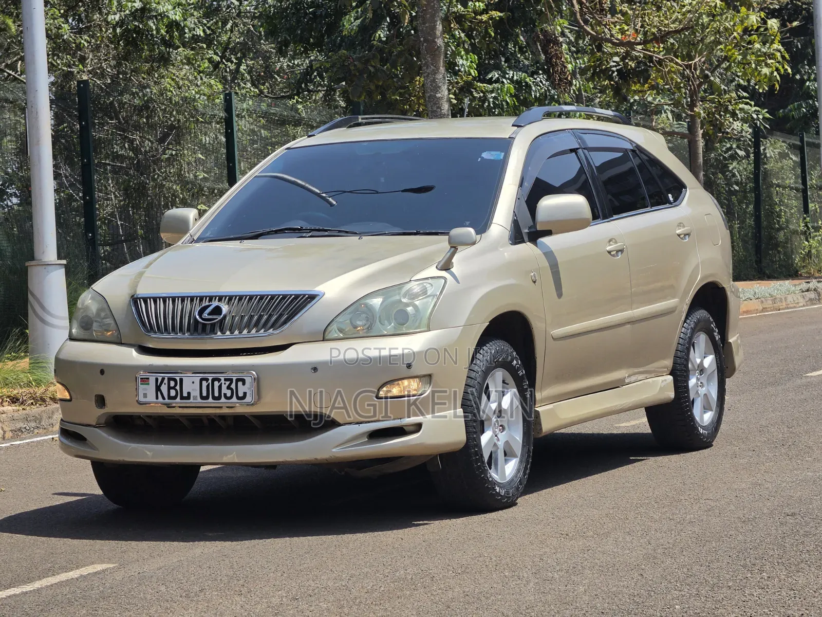 Lexus RX 2003 Gold