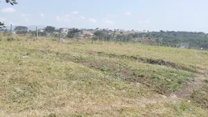 Qaribuni Homes