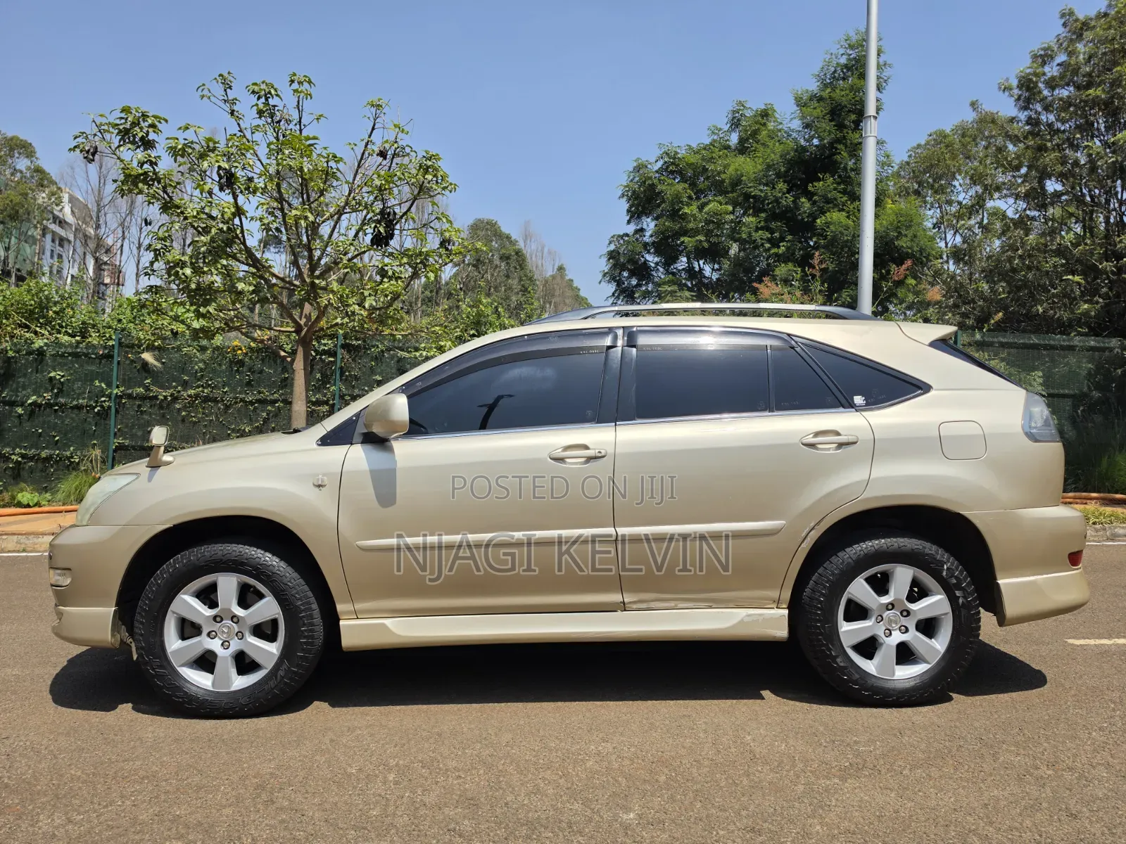 Lexus RX 2003 Gold