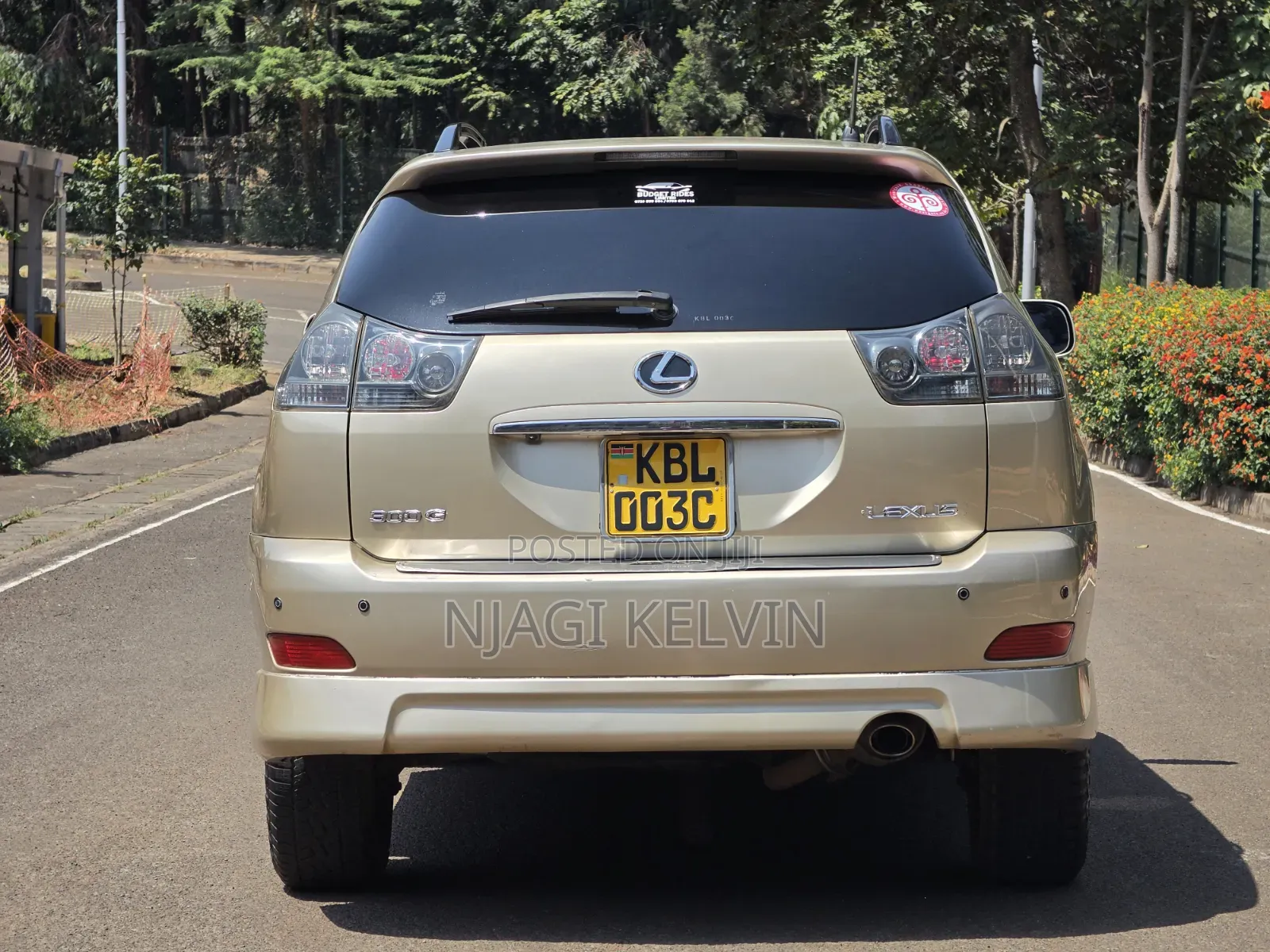 Lexus RX 2003 Gold