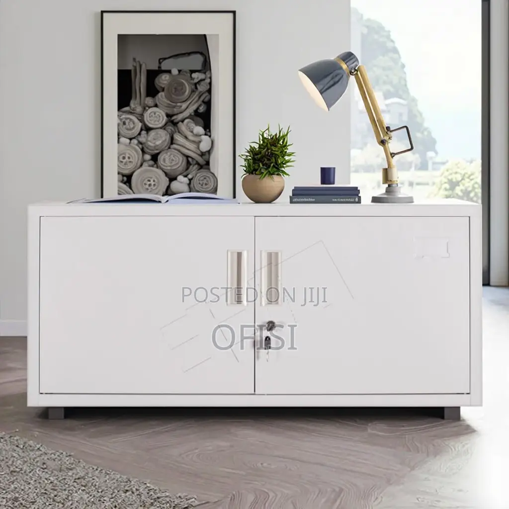 Office Cabinet; 2 Locker Metallic Office Storage Cabinet